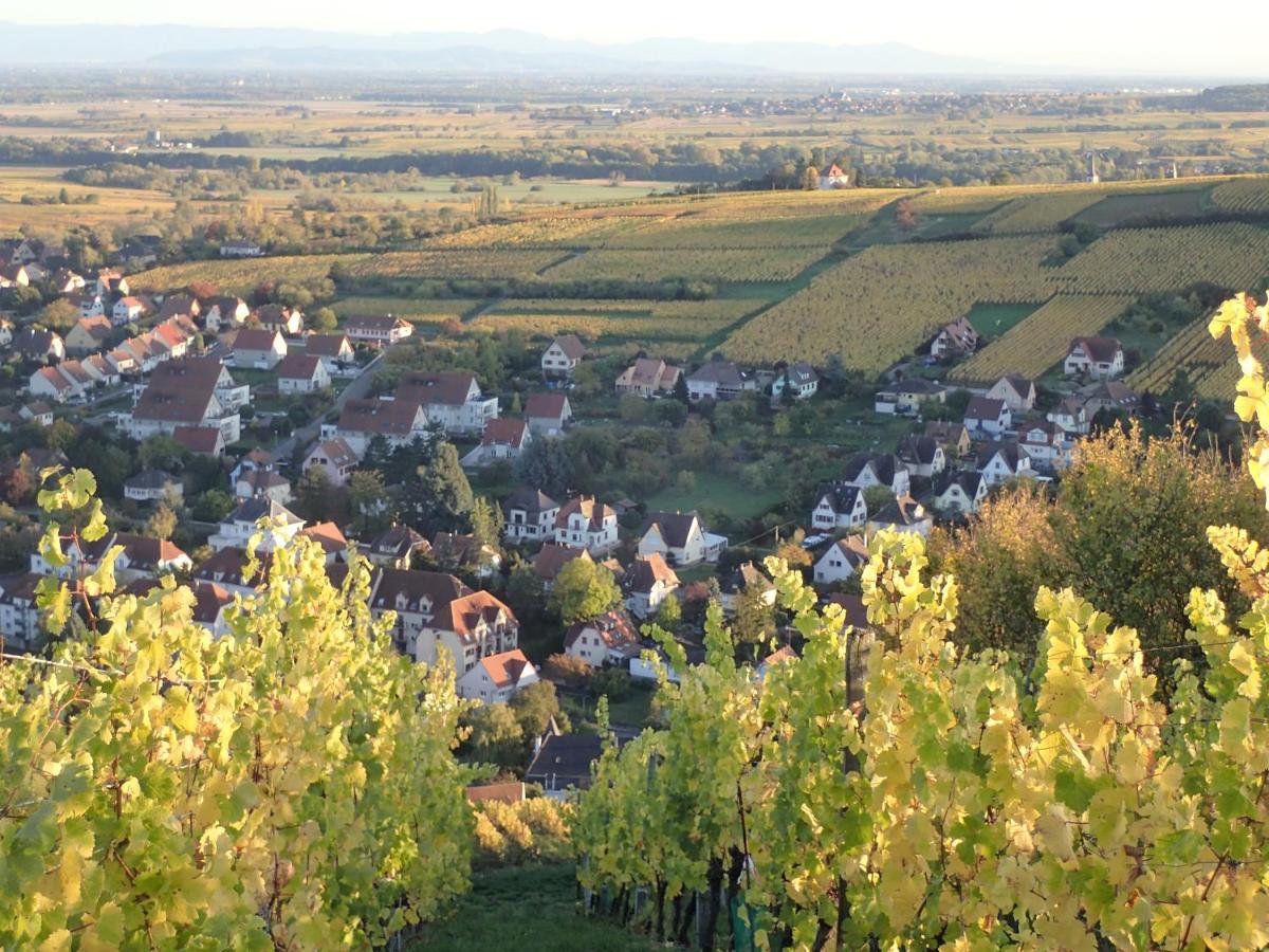 Villa/Appartement Au Coeur Des Vignes *** Barr Esterno foto